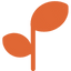 Plant Growing Icon