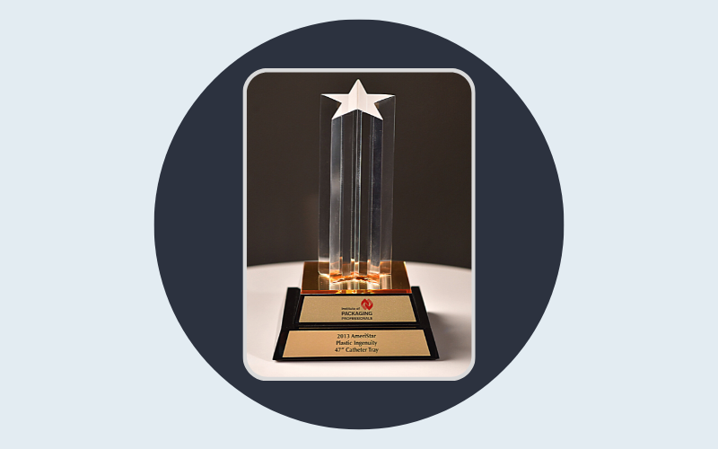2013 AmeriStar Award