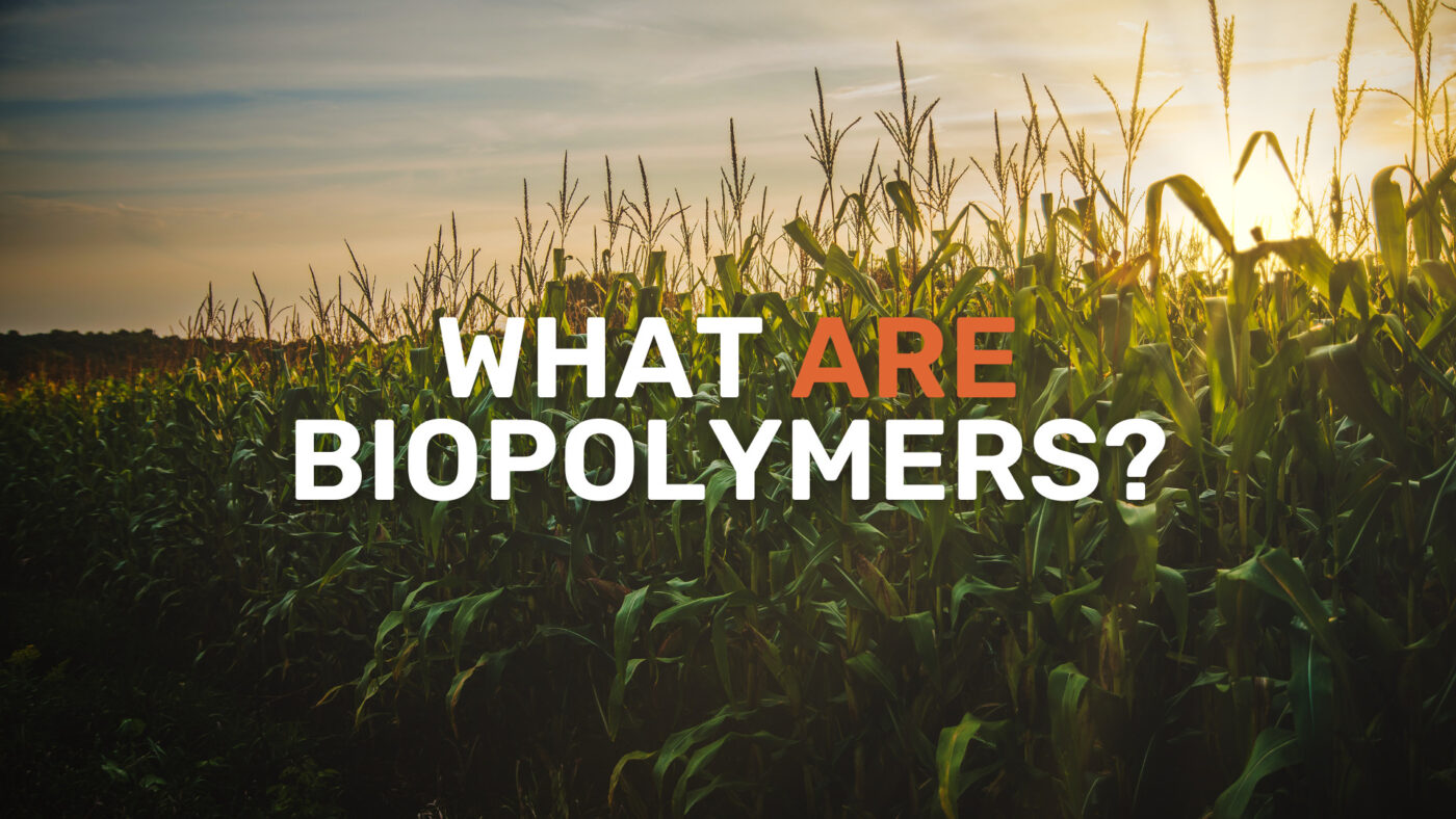 What are Biopolymers