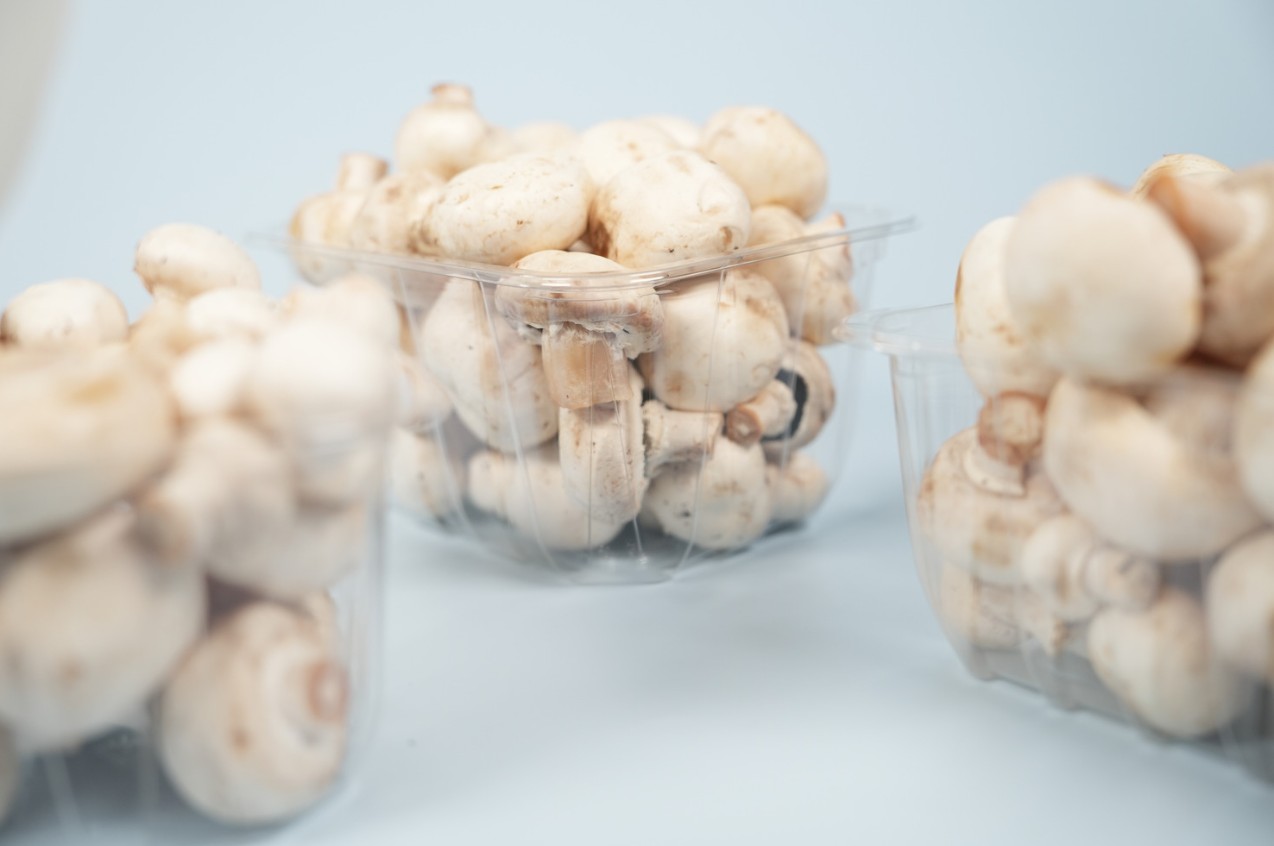 Clear Mushroom Tills